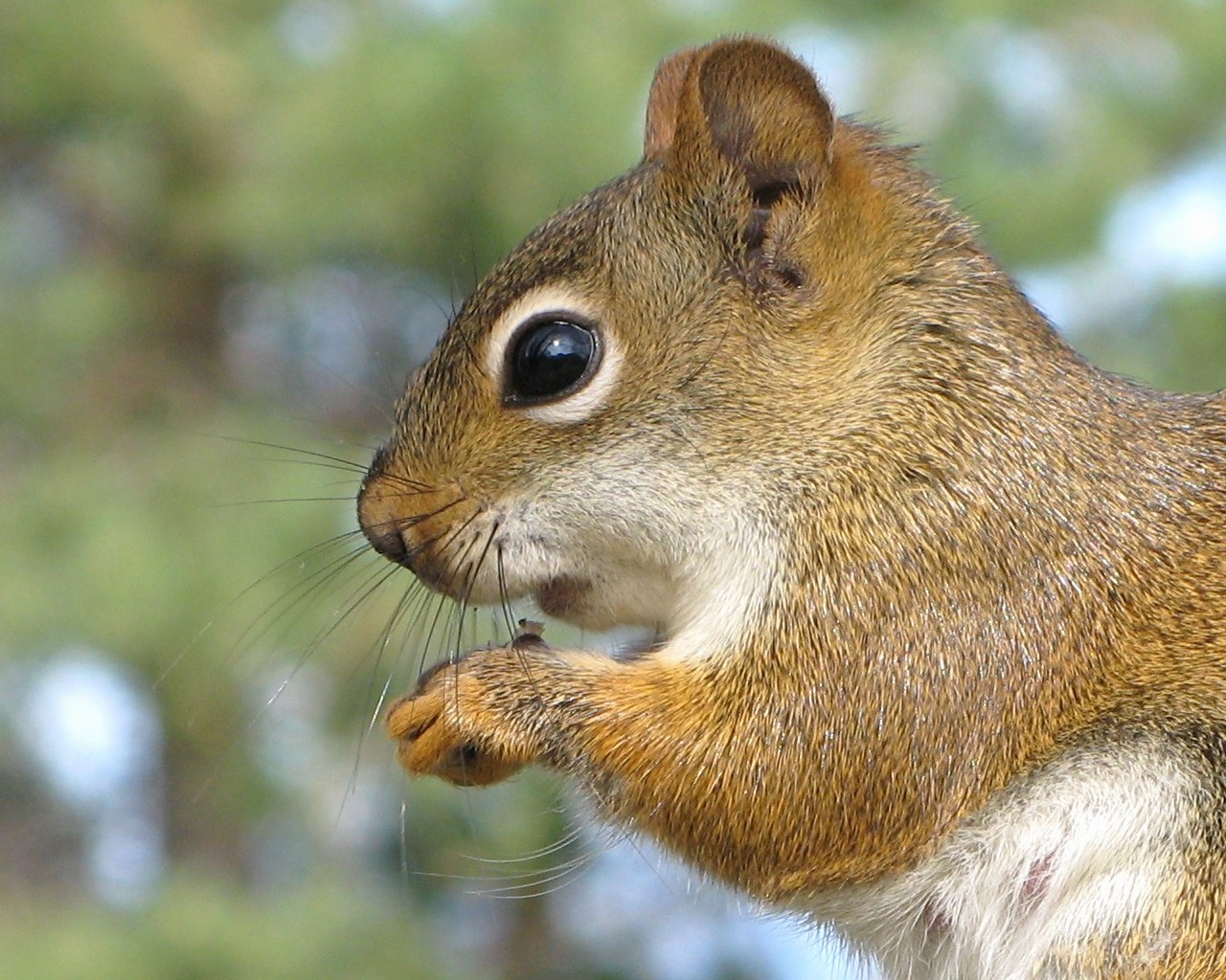 “Anti-Social” Web Blocking Software: Tech Tool Tuesday For Salespeople