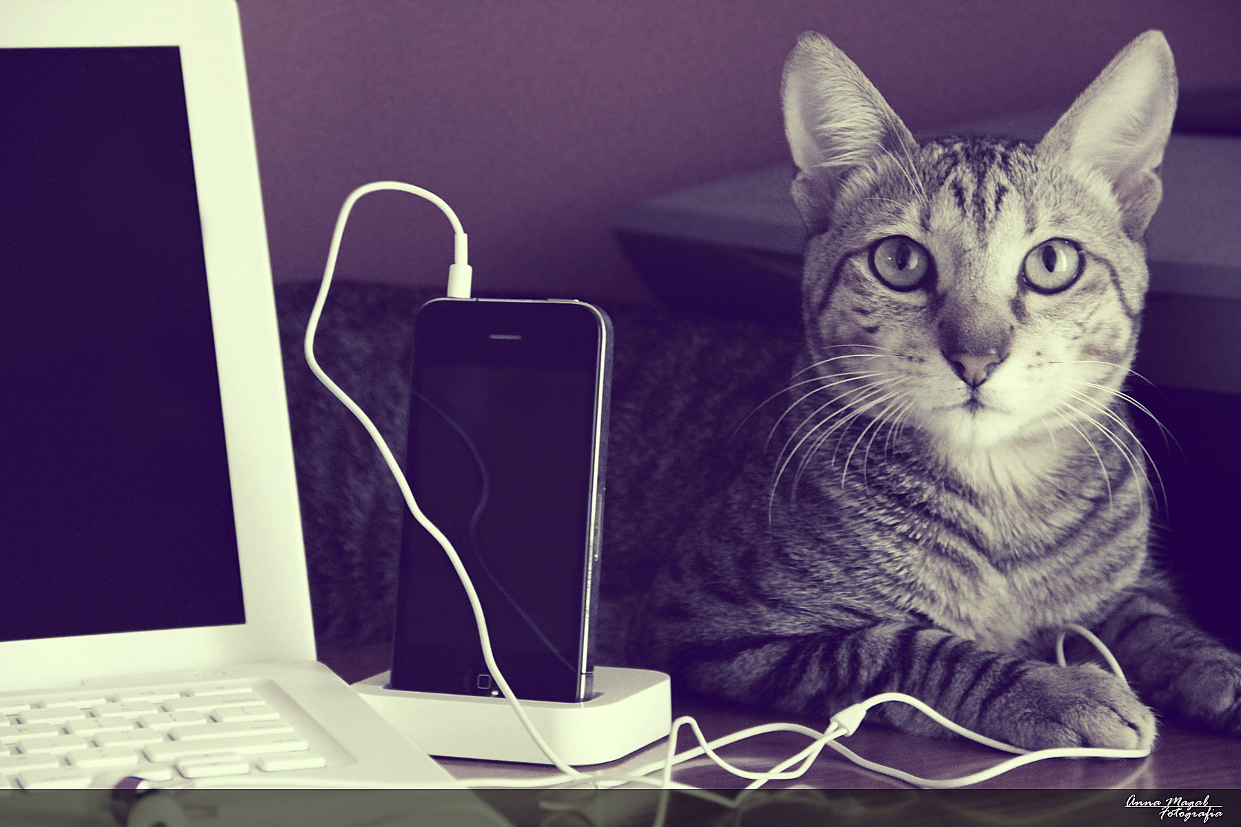 Five Incredibly Useful Tools Every Connected Salesperson Needs